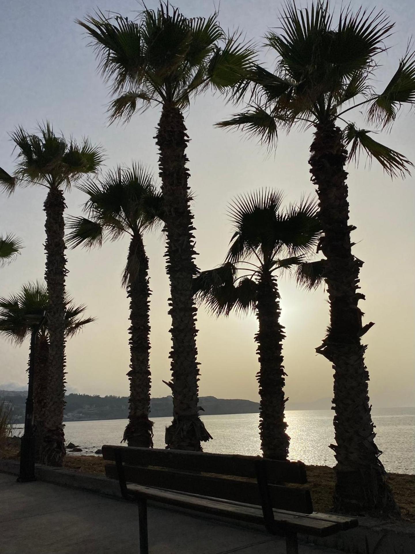 Eftihia Apartments By The Sea Resmo Dış mekan fotoğraf